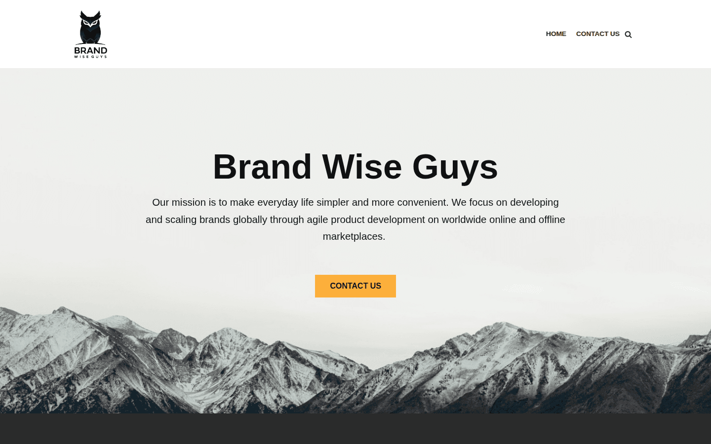 Brandwiseguys